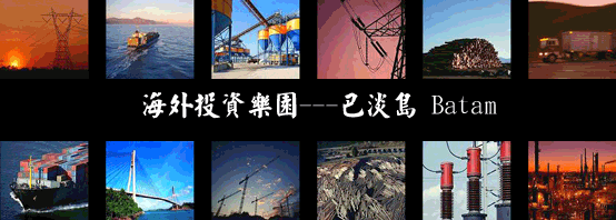 企業新藍海- 巴淡島